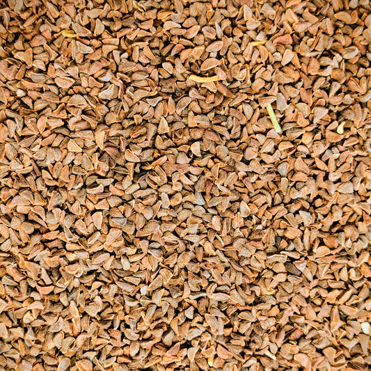 Peganum Harmala (Syrian rue) frön