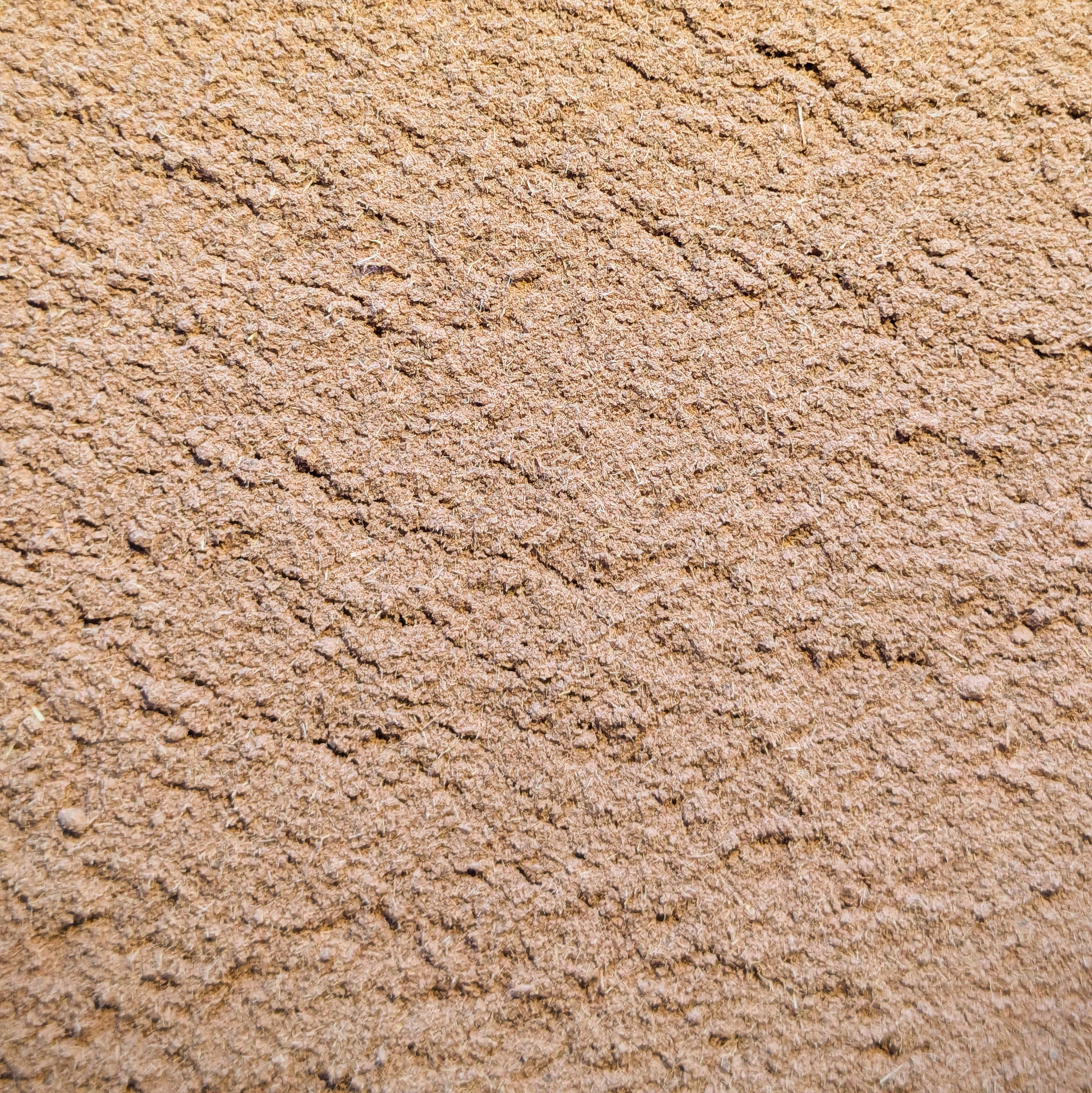 Mimosa Hostilis rotbark