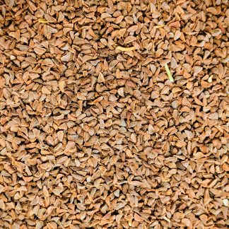 Peganum Harmala (Syrian rue)